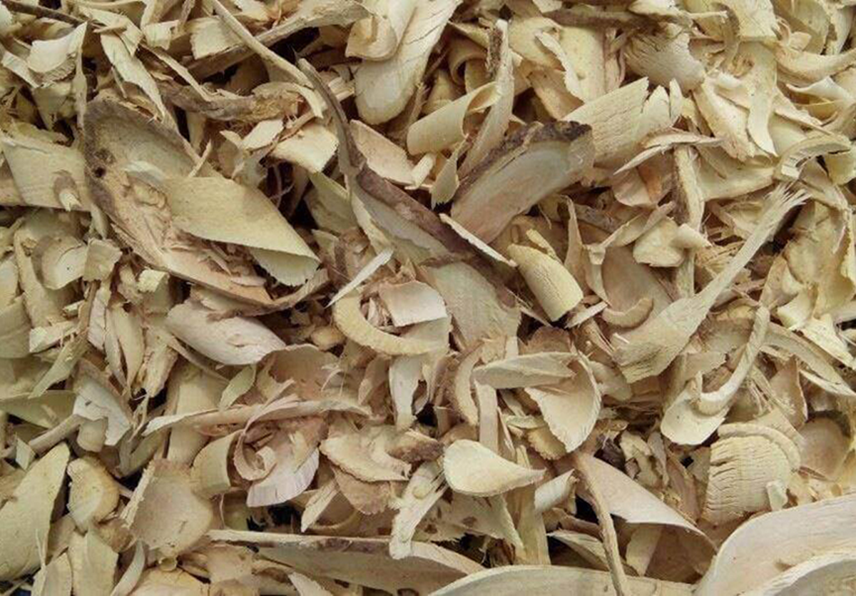 Ngỡ là cây dại ven đường, ai ngờ phần rễ bán tới 10 triệu/kg, vẫn có người mua - Ảnh 2.
