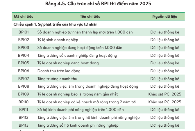 TPHCM dẫn đầu cả nước về Chỉ số Hiệu quả Kinh tế tư nhân - Ảnh 1.