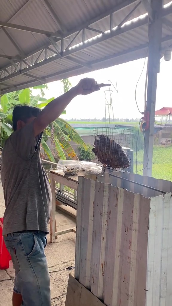 Đám giỗ miền Tây đẳng cấp với "lẩu băng chuyền" tự chế 50 ăn cùng lúc: Chủ nhà nói gì về chi tiết dễ gặp sự cố?- Ảnh 3.