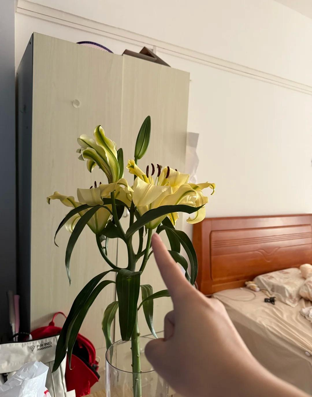 Kiểm tra phòng ngủ của bạn: Nếu vẫn giữ 6 món đồ này, giấc ngủ có thể đang “xuống cấp” từng ngày mà bạn không nhận ra - Ảnh 1.