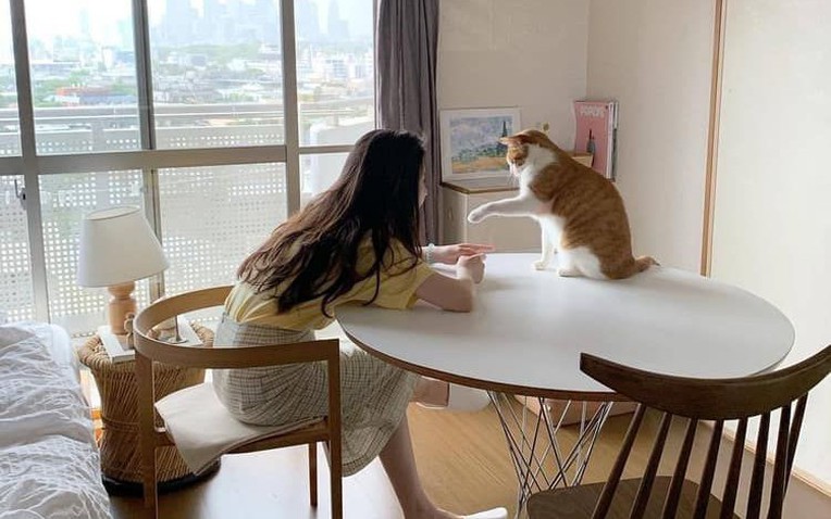 30 tuổi chưa mua được nhà, có lẽ tôi chỉ đủ sức nuôi nổi bản thân- Ảnh 1.