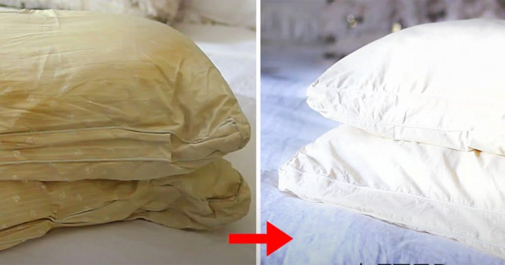 5 cách vệ sinh ruột gối bông hết sạch vết ố vàng- Ảnh 1.