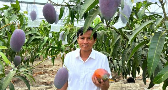 Quả "trứng mặt trời" đắt đỏ bậc nhất thế giới, 100 triệu đồng/cặp, ở Việt Nam có người trồng thành công - Ảnh 3.