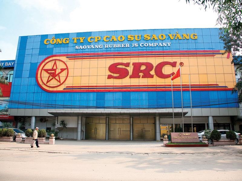 Cao su Sao Vàng dự kiến phát hành hơn 8,4 triệu cổ phiếu để tăng vốn - Ảnh 1.