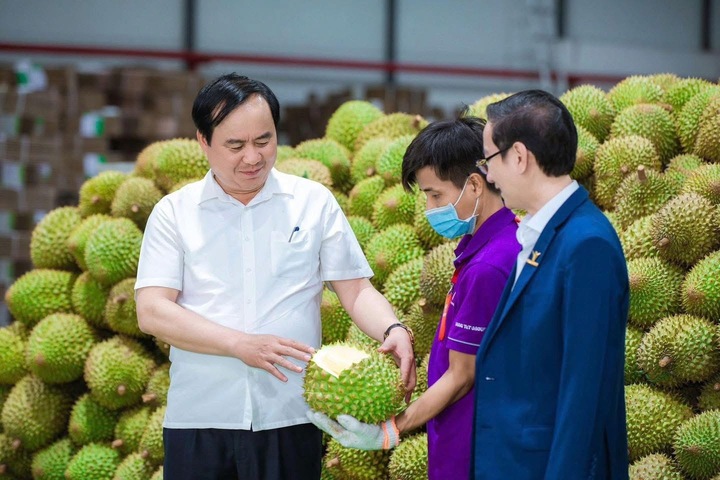 Sầu riêng rớt giá: Lối ra nào cho 'vua' trái cây?- Ảnh 4.