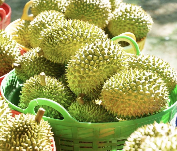 Sầu riêng rớt giá: Lối ra nào cho 'vua' trái cây?- Ảnh 1.