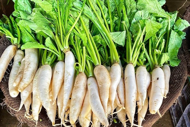 Ăn sống thải độc, nấu chín tốt cho phổi, hầm kỹ bổ dạ dày: Loại củ được ví như "nhân sâm trắng" của người Việt- Ảnh 3.
