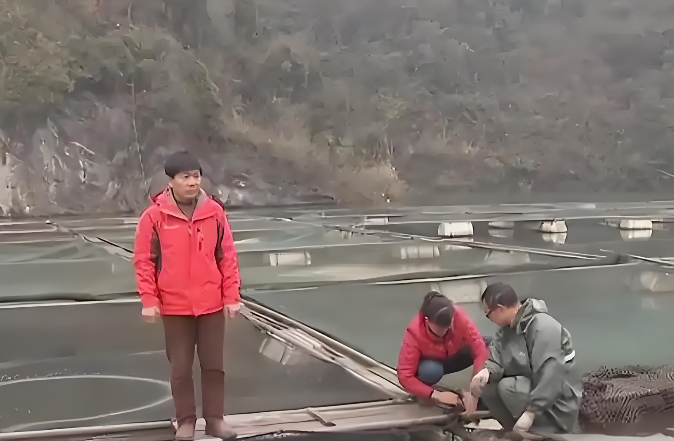 Phát hiện người đàn ông kiếm hơn 774 tỷ đồng nhờ nuôi loài cá cho trứng quý- Ảnh 2.