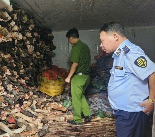 Tiến hành kiểm tra, thu giữ 1.200 kg nội tạng, xương bò bẩn tại một cơ sở kinh doanh ở Hà Nội- Ảnh 2. Tiến hành kiểm tra, thu giữ 1.200 kg nội tạng, xương bò bẩn tại một cơ sở kinh doanh ở Hà Nội- Ảnh 2.