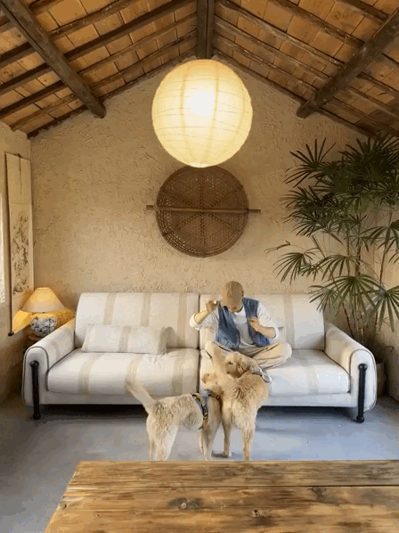 Chàng trai 9x sửa nhà khiến cả cõi mạng chú ý: View cánh đồng chill không thể tả, nhìn muốn bỏ phố về quê- Ảnh 12.