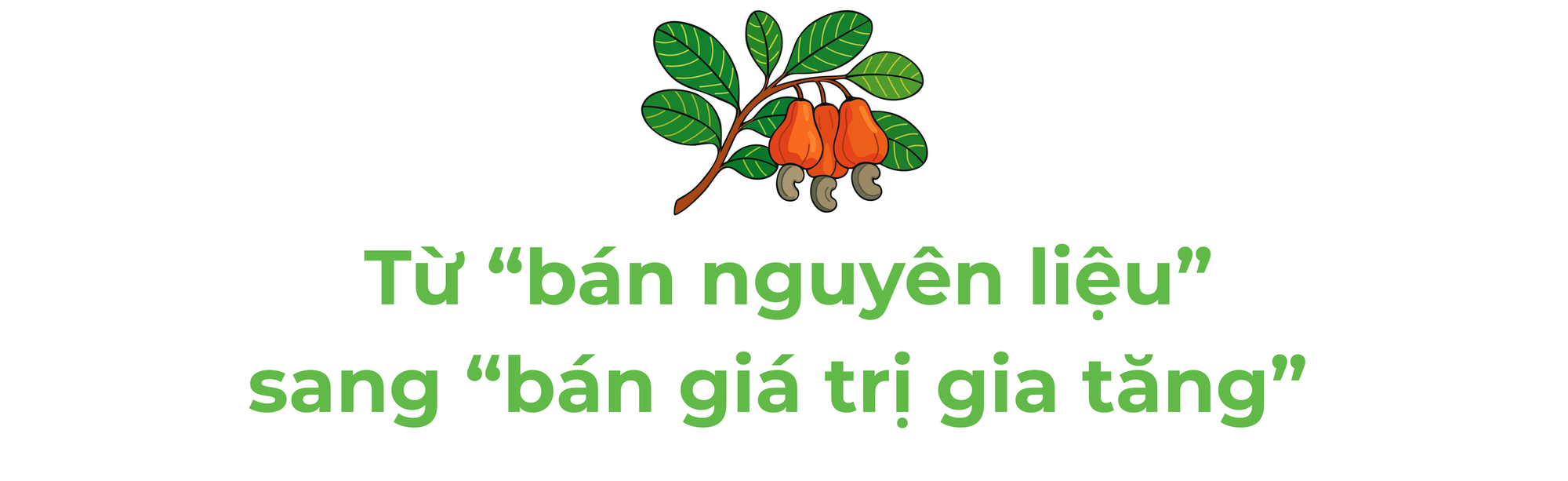 Campuchia, châu Phi đua nhau đưa vào Việt Nam một 'báu vật' - Là trợ lực giúp nước ta xuất khẩu bỏ xa thế giới - Ảnh 3.