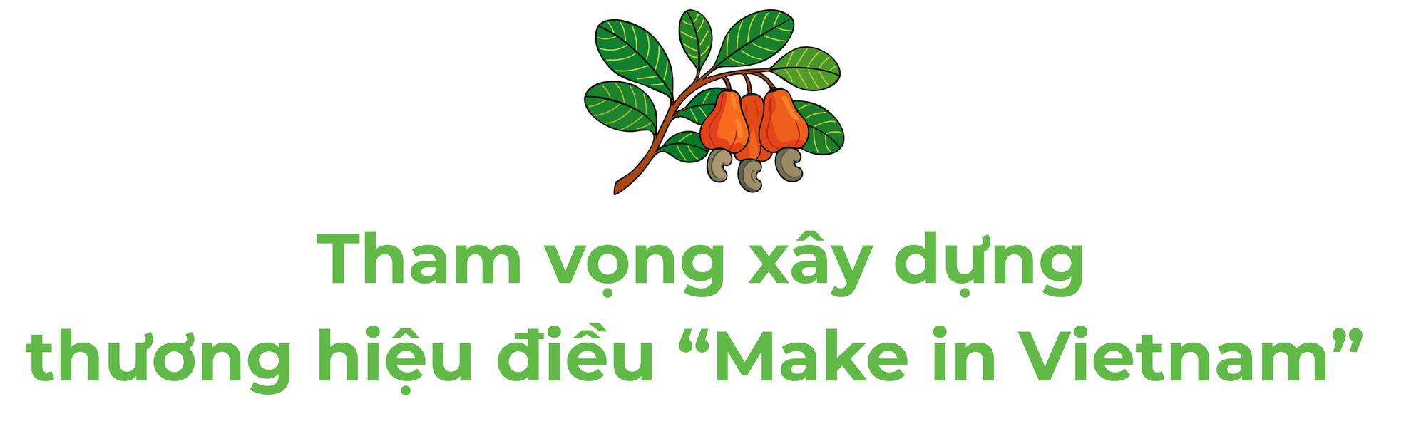 Campuchia, châu Phi đua nhau đưa vào Việt Nam một 'báu vật' - Là trợ lực giúp nước ta xuất khẩu bỏ xa thế giới - Ảnh 5.