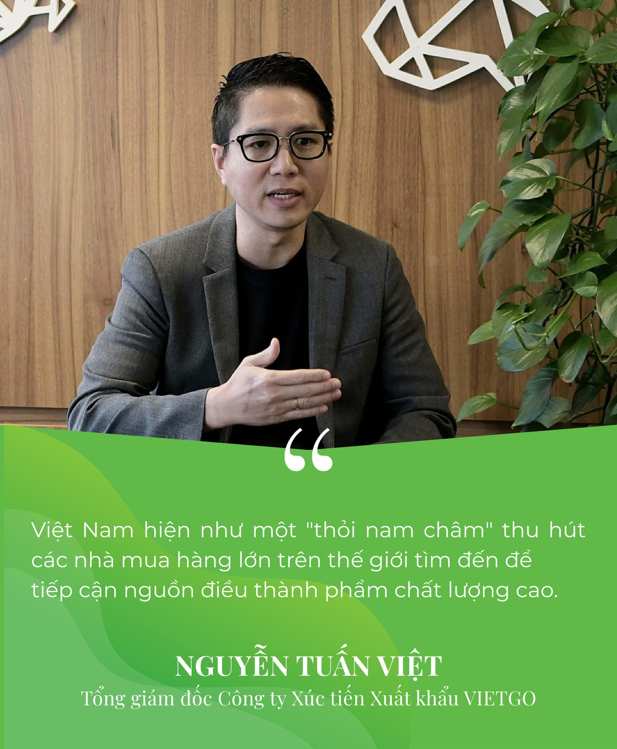 Campuchia, châu Phi đua nhau đưa vào Việt Nam một 'báu vật' - Là trợ lực giúp nước ta xuất khẩu bỏ xa thế giới - Ảnh 4.
