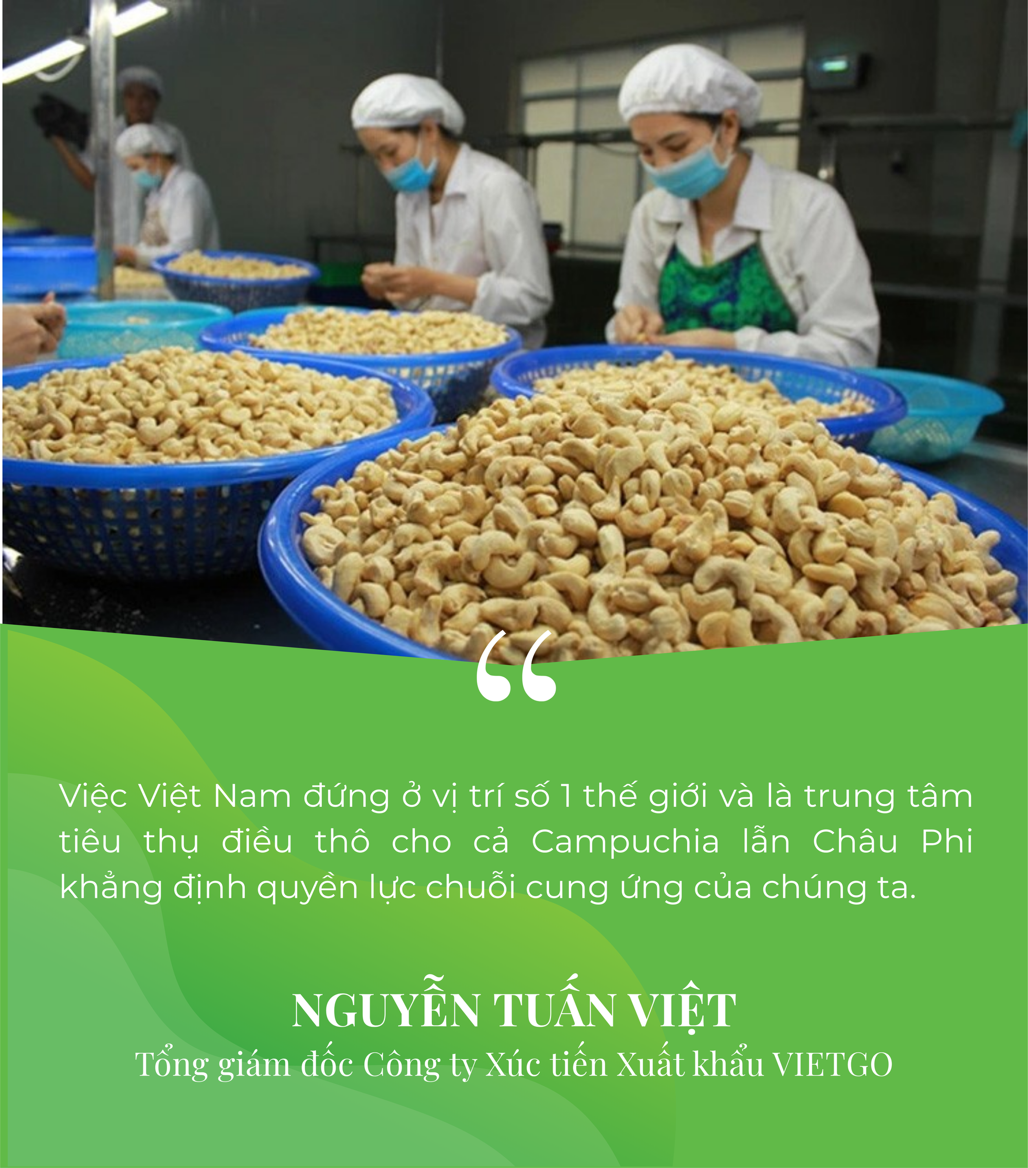 Campuchia, châu Phi đua nhau đưa vào Việt Nam một 'báu vật' - Là trợ lực giúp nước ta xuất khẩu bỏ xa thế giới - Ảnh 6.