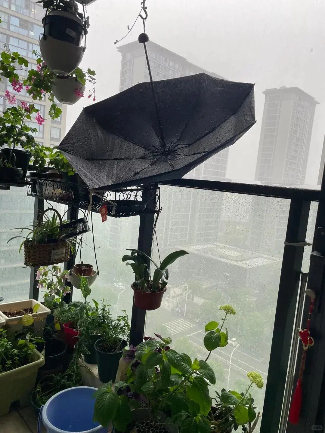 Sau 1 năm dùng ban công mở, tôi hiểu vì sao nhiều người muốn đóng lại- Ảnh 4.