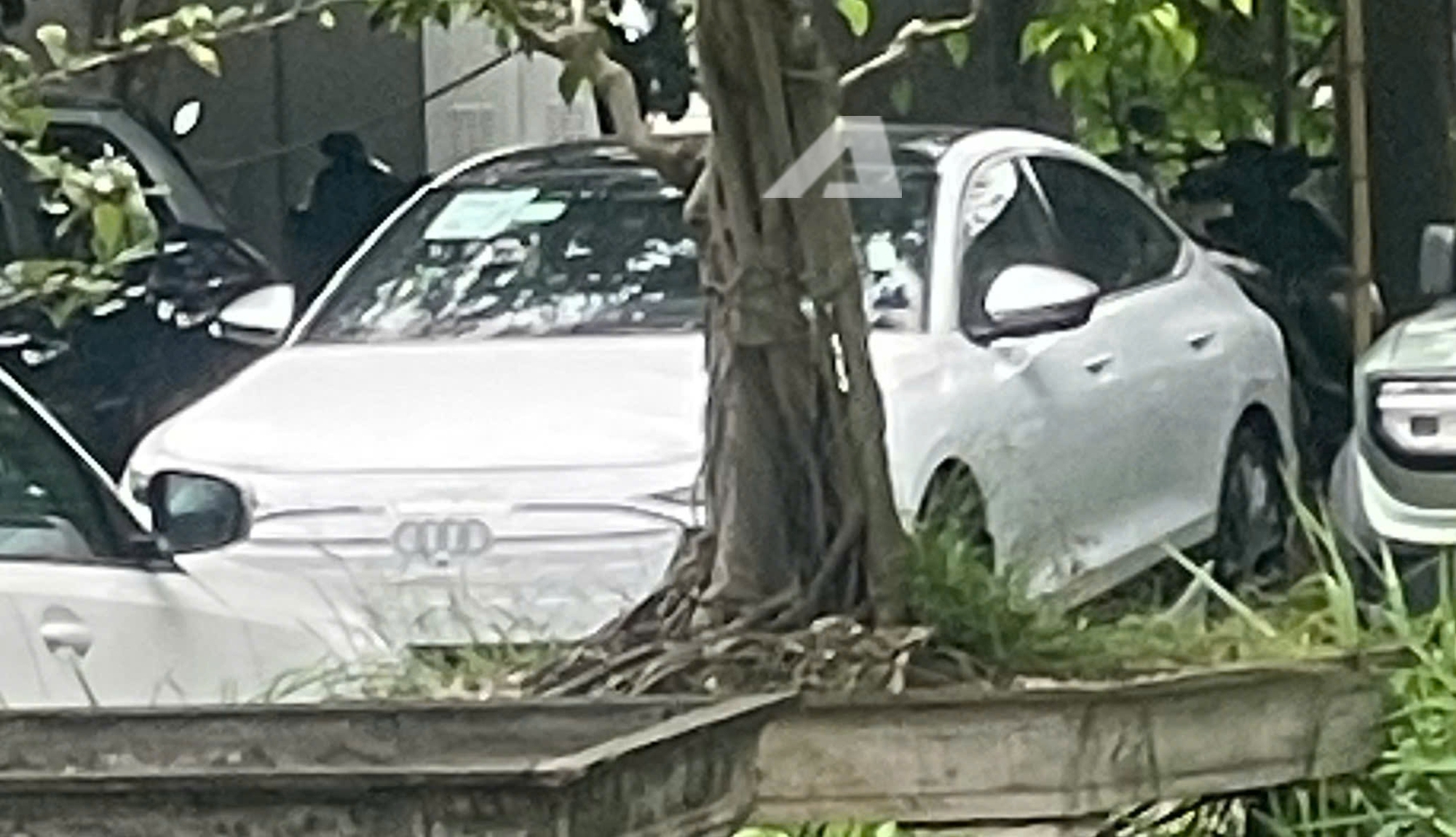 Loạt xe mới dự kiến ra mắt tháng 5: Ranger thêm bản mới đấu Hilux, xe điện cho dân thích lái, không loại trừ một mẫu xe hot này- Ảnh 5.