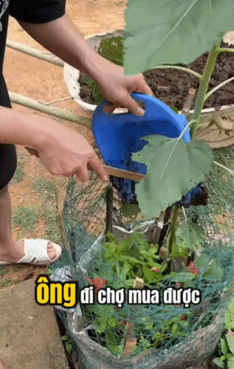 Vợ chồng trẻ người Thái từ Điện Biên xuống Hưng Yên làm công nhân, tổng thu nhập 18 triệu, nuôi con nhỏ vẫn dư 7 triệu: Người khen vun vén, người bảo kham khổ- Ảnh 15.