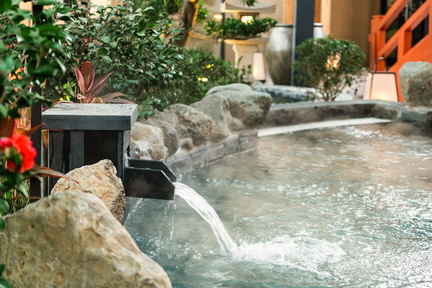 Forest Onsen: Món quà sức khỏe dành cho cha mẹ- Ảnh 2.
