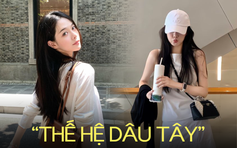 “Thế hệ dâu tây”: Đi làm mệt quá thì nghỉ, việc khó quá không làm nữa là xong?- Ảnh 1.
