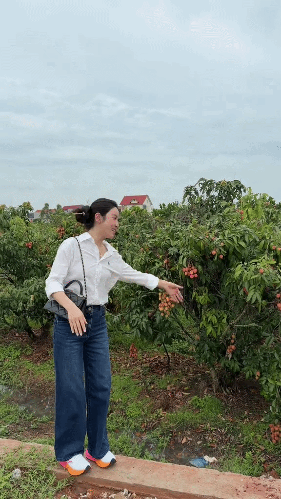 Chu Thanh Huyền gặp sự cố giữa vườn vải- Ảnh 1.