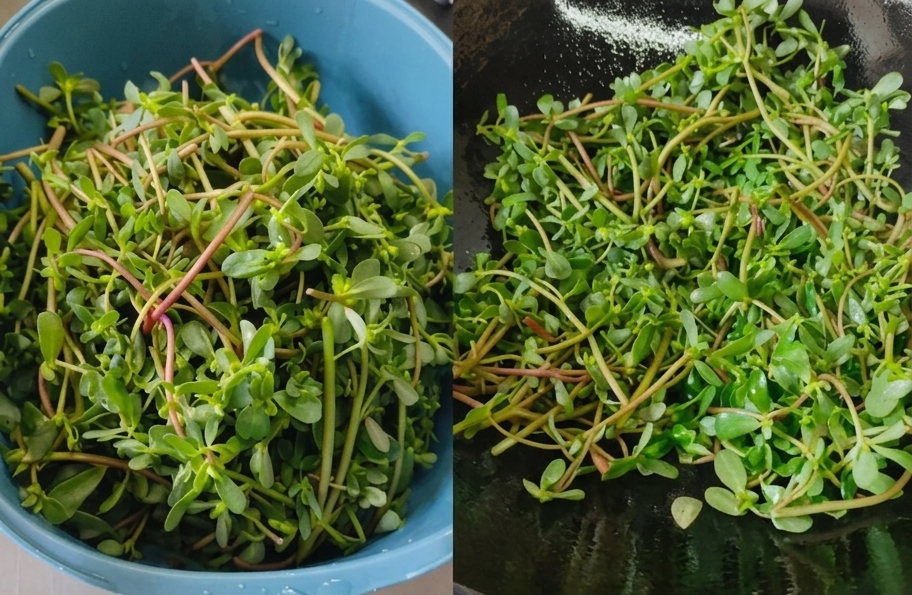 4 món rau này là lựa chọn hàng đầu để ăn trong mùa hè: Dễ nấu lại ngon miệng và giúp thanh nhiệt, tốt cho tỳ vị- Ảnh 2.