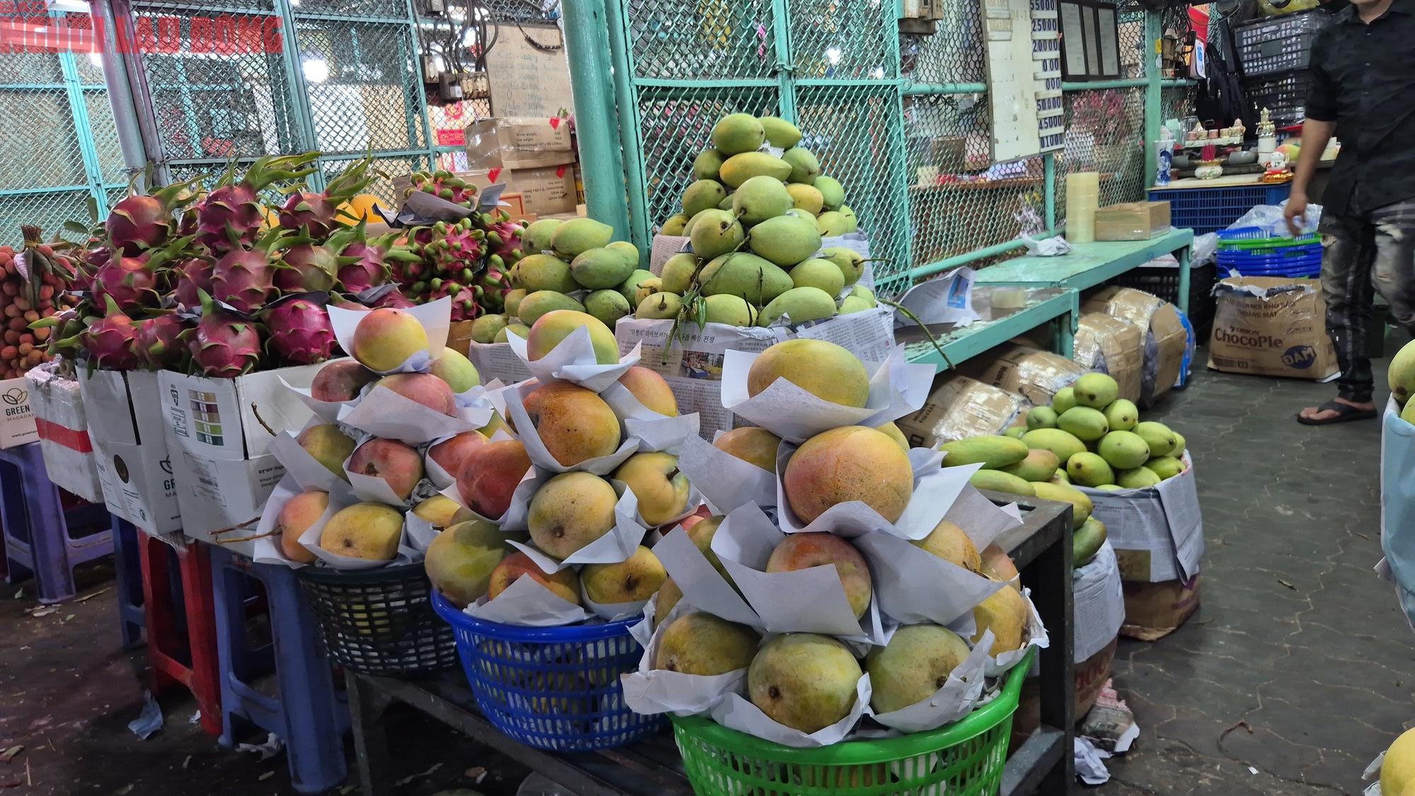 Xoài rẻ hiếm có, nhà máy mua trữ đến tháng 10  - Ảnh 3.