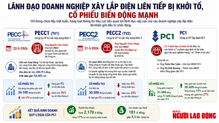 Biến cố dồn dập tại các công ty xây lắp điện- Ảnh 2.