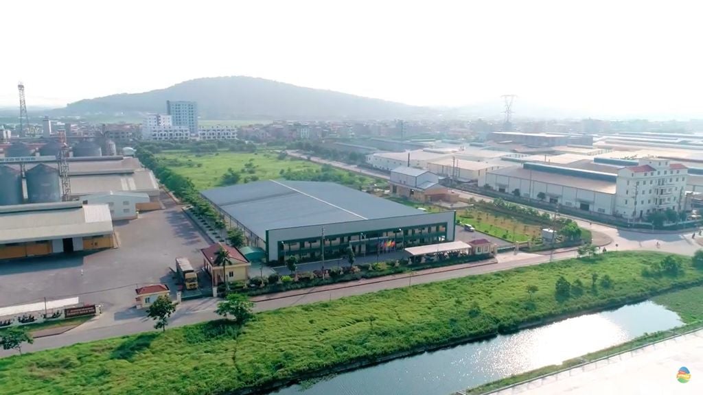 “Cỗ máy” sản xuất 300 triệu quả trứng/năm, có cả trứng nhân sâm của chủ tịch Nguyễn Như So: Nuôi 1 triệu con gà, vận hành bằng robot Đức- Ảnh 2.
