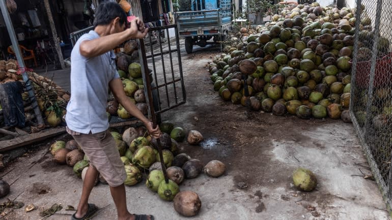 Một mặt hàng được dự báo trở thành 'của hiếm' ở Đông Nam Á vì nhiên liệu sinh học - đó là gì? - Ảnh 7.