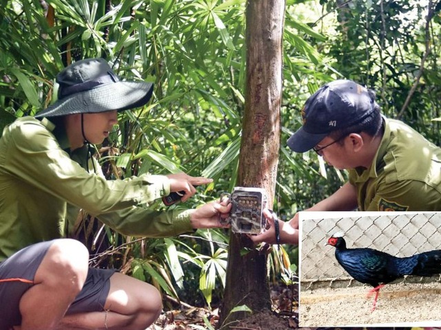 Loài động vật quý hiếm chỉ Việt Nam có, giới khoa học khẩn cấp bảo tồn: Số lượng chưa đến 50 con- Ảnh 4.