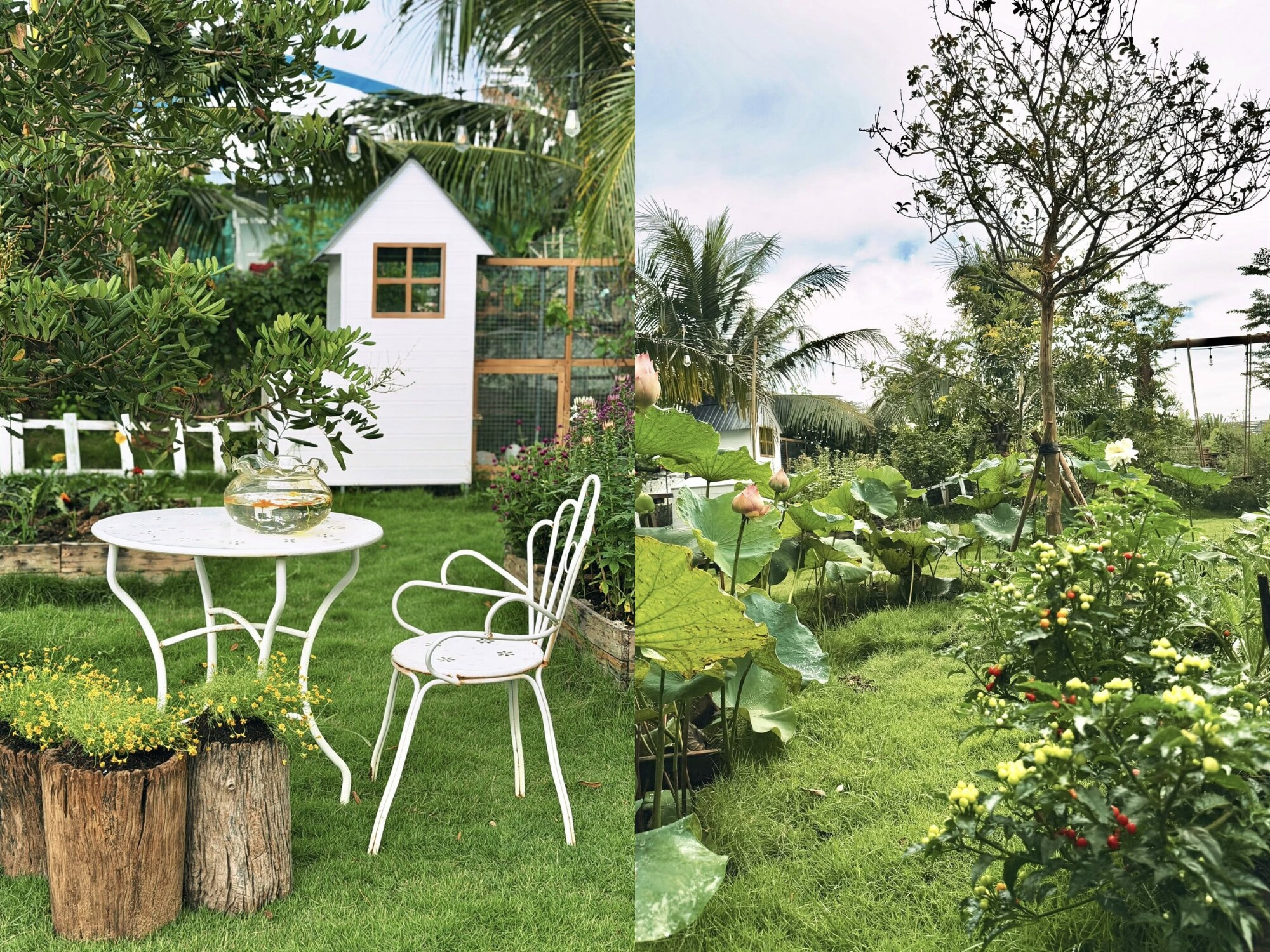Bỏ việc văn phòng, dùng ChatGPT thiết kế khu vườn trên mảnh đất 1000m2: "Hết đau cổ vai gáy thì chuyển sang đau lưng vì cuốc đất"- Ảnh 26.