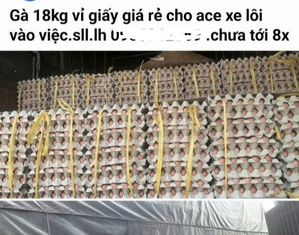 Trứng gà cận date tràn ngập thị trường, chủ trang trại lỗ tiền tỉ- Ảnh 1.
