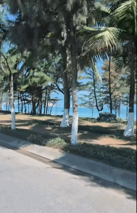 Vợ chồng rời Hà Nội vào Đà Nẵng, sau hơn 1 năm đã xây căn nhà thứ 2 ở tuổi 40: Không “nghỉ hưu sớm” mà tự tăng thu nhập từ nhu cầu du lịch- Ảnh 2.