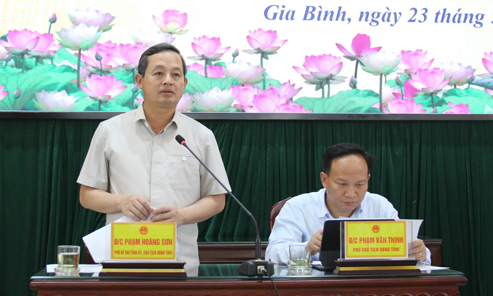 Áp lực đè lên 2 đại dự án hàng không chục tỷ đô: Nhà ga Long Thành chậm tiến độ, sân bay Gia Bình vướng "nút thắt"- Ảnh 3.