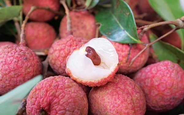 Loại quả "quốc dân" vào mùa hè nhưng bác sĩ cảnh báo không nên ăn cùng 2 thứ này: Có thể làm mất vitamin C, tăng nguy cơ tụt đường huyết nguy hiểm- Ảnh 2.