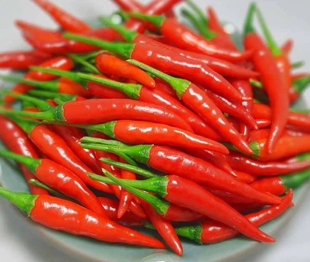 Ăn ớt 3 bữa mỗi ngày, người đàn ông 56 tuổi xuất hiện dấu hiệu “lạ” - Ảnh 2.
