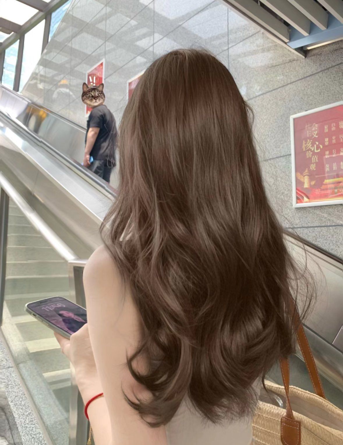 Lời khuyên cho phụ nữ có tóc đang mỏng dần, rơi rụng như lá mùa thu- Ảnh 1.