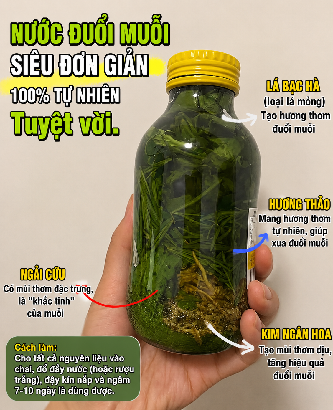 Các “mẹo chống muỗi” đang được nhiều gia đình áp dụng mùa hè này: Có cách chỉ tốn vài nghìn đồng nhưng hiệu quả bất ngờ- Ảnh 9.