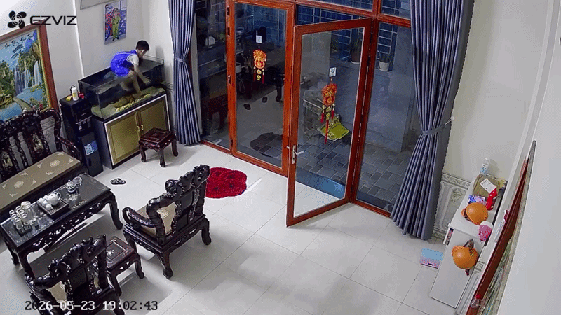 "Tái mặt" phát hiện con nhà hàng xóm trèo vào bể bắt cá: Chủ nhà tiết lộ chuyện phía sau- Ảnh 1.