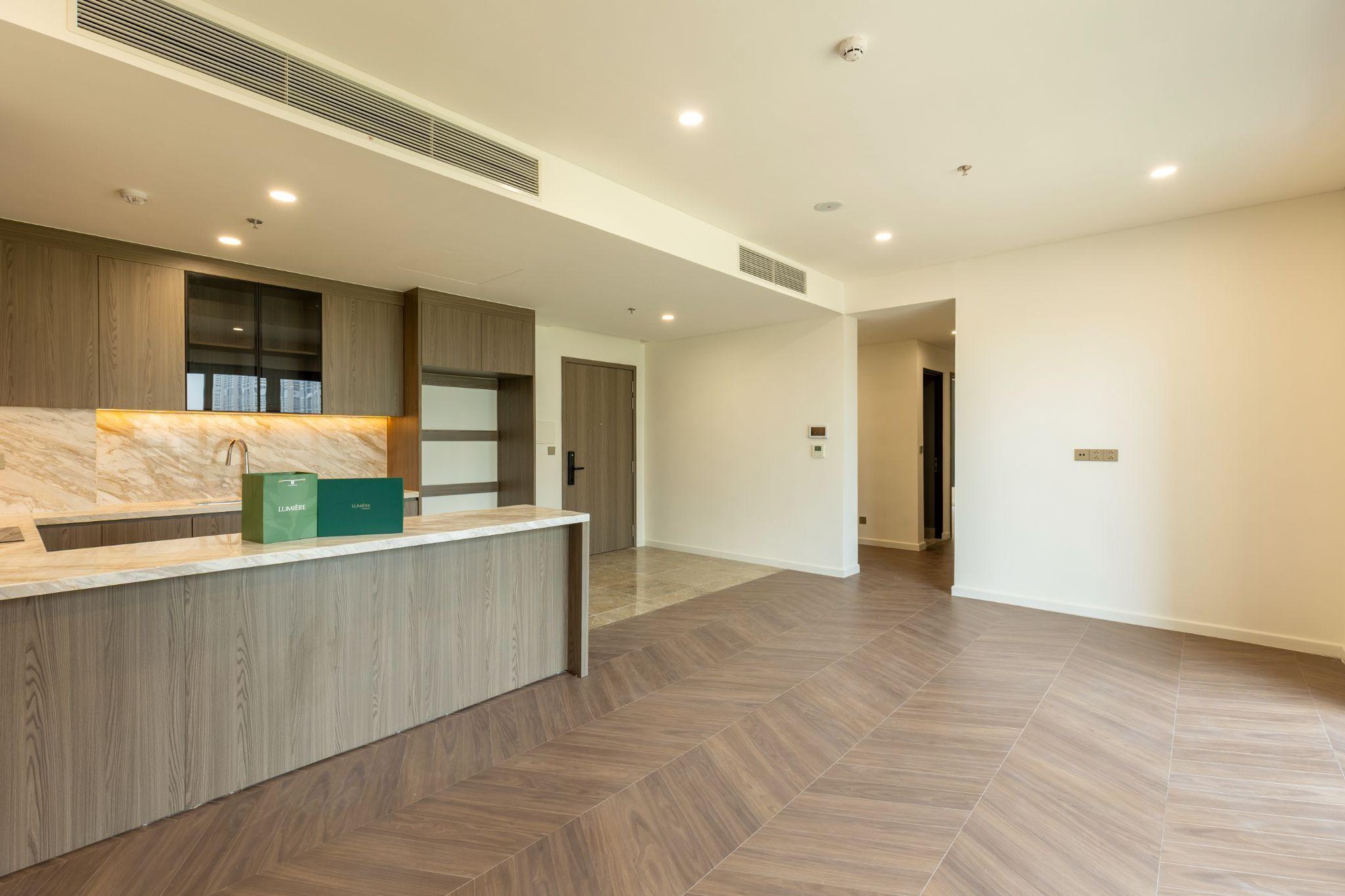 Masterise Homes bàn giao LUMIÈRE Evergreen, khai mở hành trình “Sống là nhiều hơn thế”- Ảnh 4.