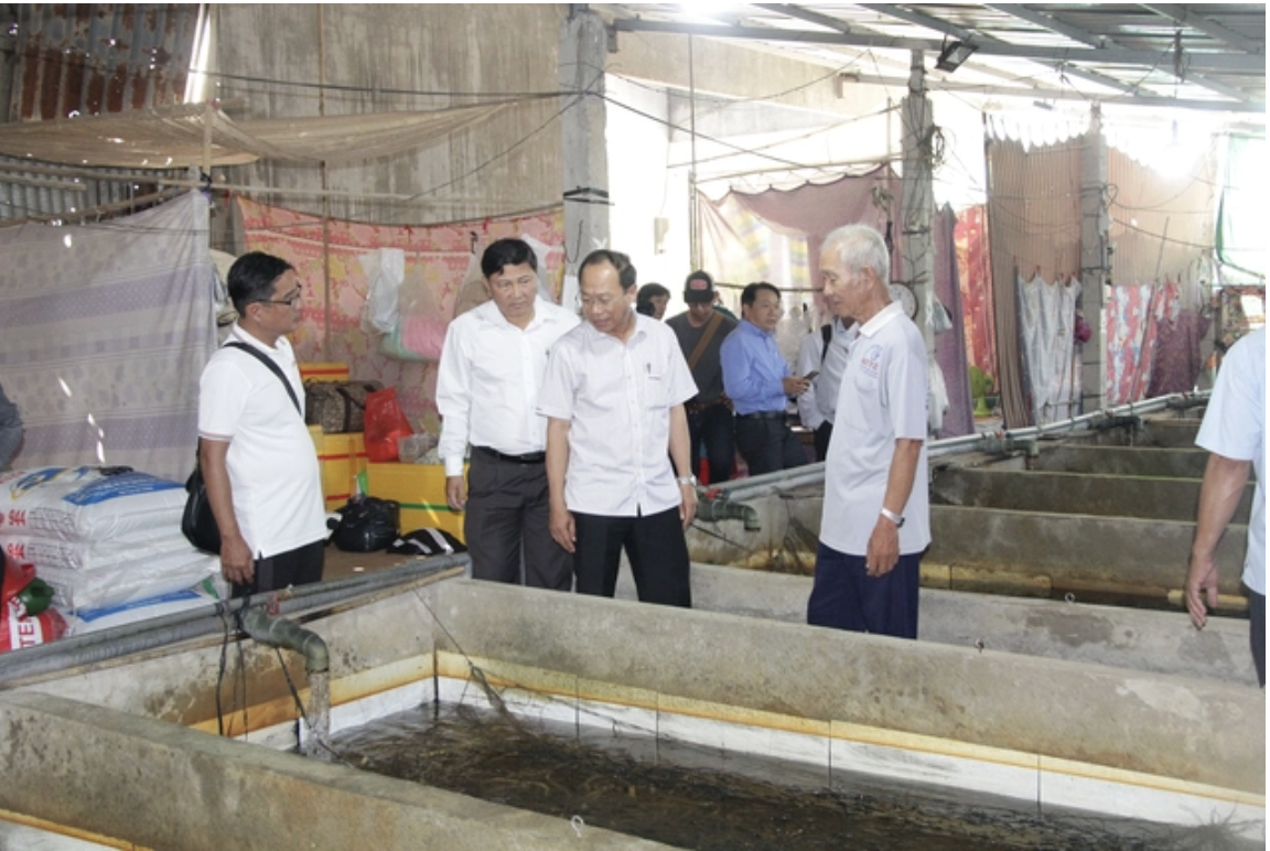 Giải pháp cho hàng ngàn tấn lươn ở miền Tây trong nuôi lươn không bùn 2026 - Ảnh 3.