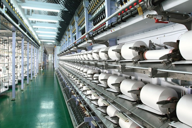 Cổ đông của Sợi Thế Kỷ sắp nhận cổ tức bằng cổ phiếu tỷ lệ 10% - Ảnh 1.