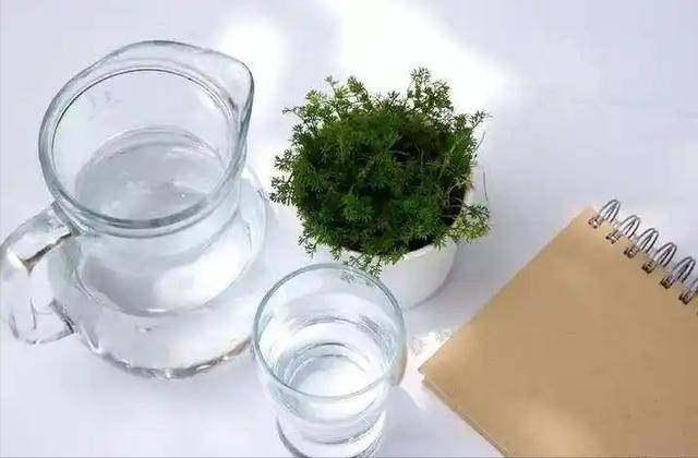 9 năm “nghiện” trà sữa thay nước lọc, uống tới 3.000 cốc: Người phụ nữ biến hai quả thận thành... túi đựng sỏi- Ảnh 5.