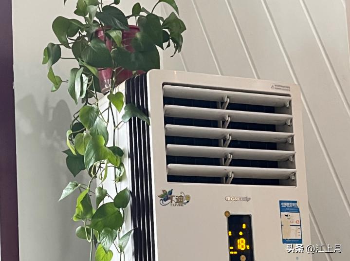 Trước khi bật điều hòa, người khéo thường đặt thêm 2 thứ này trong phòng: Vừa dễ ngủ vừa đỡ khô da - Ảnh 2.