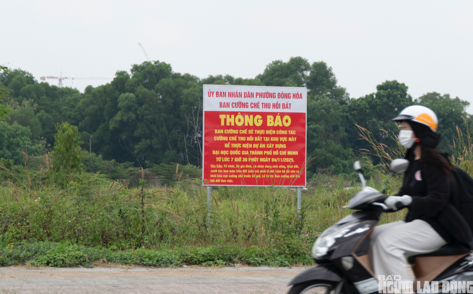 Toàn cảnh nút giao cửa ngõ Đại học Quốc gia TPHCM dang dở sau gần 20 năm- Ảnh 7. Toàn cảnh nút giao cửa ngõ Đại học Quốc gia TPHCM dang dở sau gần 20 năm- Ảnh 7.