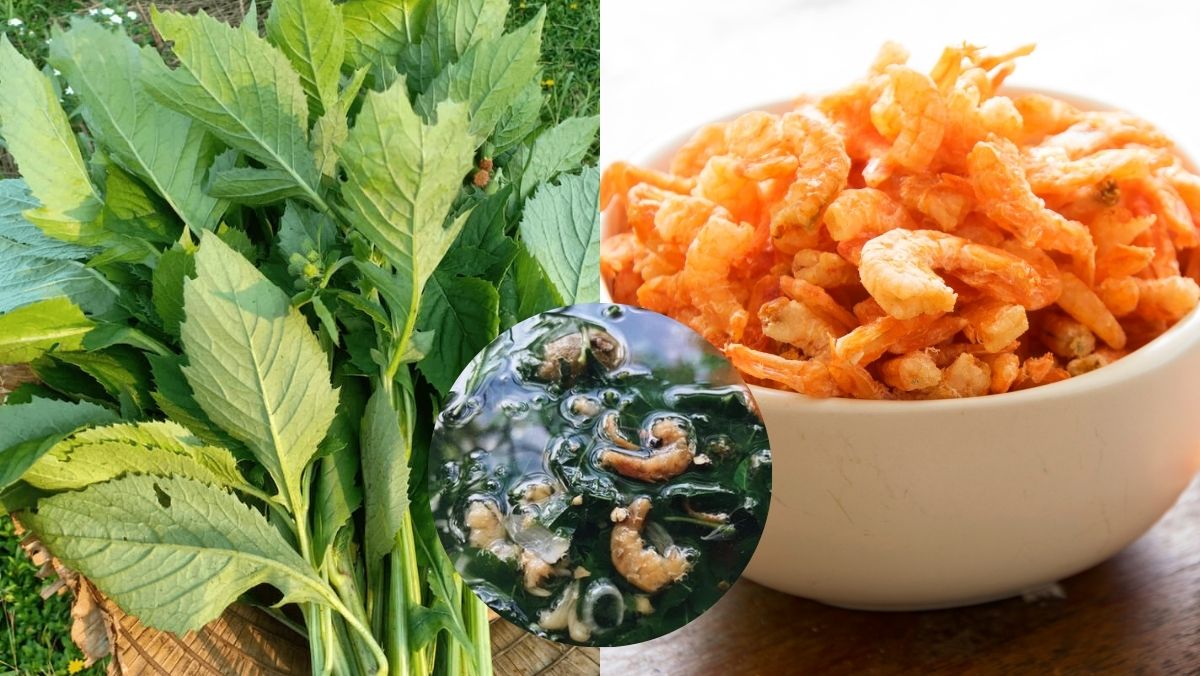 Loại rau bồi bổ cơ thể, làm mát gan: Mọc hoang đầy Việt Nam mà ít ai biết để ăn- Ảnh 2. Loại rau bồi bổ cơ thể, làm mát gan: Mọc hoang đầy Việt Nam mà ít ai biết để ăn- Ảnh 2.
