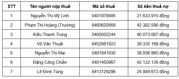 Cơ quan Thuế thông báo: Tạm hoãn xuất cảnh đối với  cá nhân, hộ kinh doanh có tên trong danh sách sau- Ảnh 1.