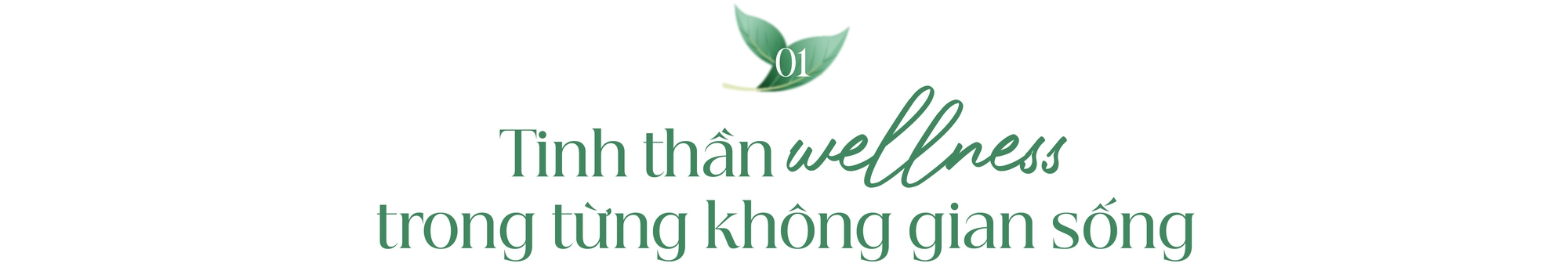 The Peak Garden – Không gian sống wellness giữa nhịp đô thị khu Nam TP.HCM - Ảnh 1. The Peak Garden – Không gian sống wellness giữa nhịp đô thị khu Nam TP.HCM - Ảnh 1.