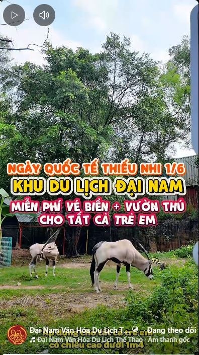 Tin rất vui: Đúng 1/6, đối tượng đặc biệt này trên toàn quốc được miễn phí một dịch vụ - Ảnh 2.