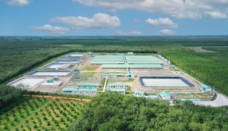 Baf Việt Nam chuẩn bị phát hành hơn 60 triệu cổ phiếu cho cổ đông - Ảnh 1.
